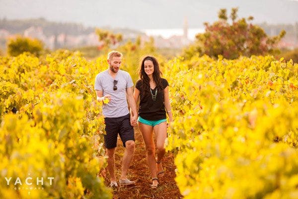 Visiting Greece - Find regional delights at vineyards
