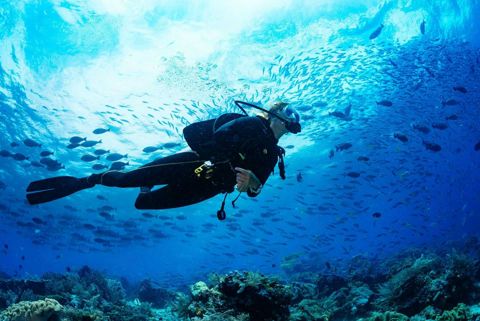 Woman scuba diving in Kornati National Park